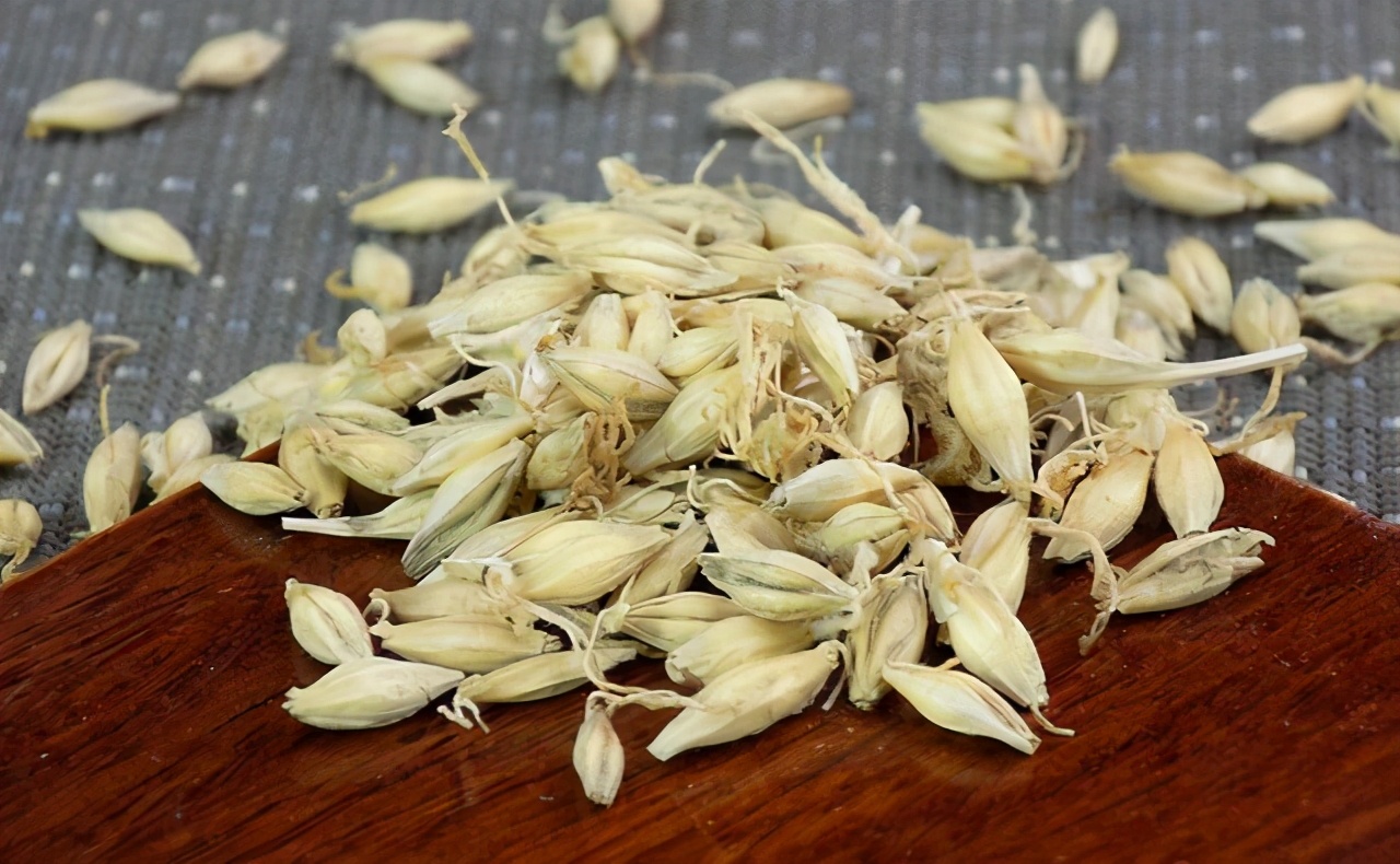 |常见的这几种窝料，哪一种在冬钓中效果更好