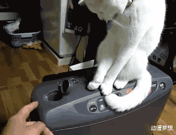 |“钓鱼被咬了，不过钓到了一条招财龙鱼，不亏...”哇哈哈哈，评论沸腾了～