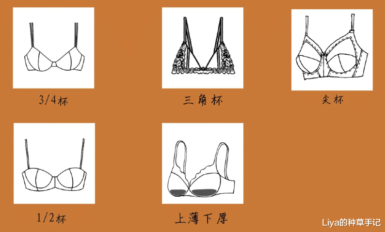 Liya的种草手记|男生到底有多喜欢大胸?