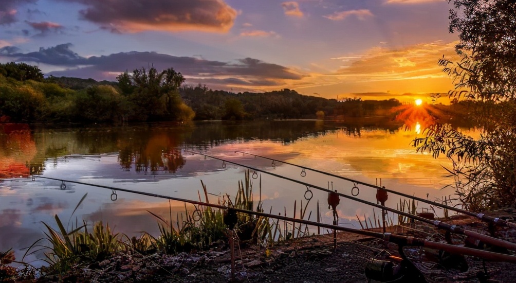 |夏天垂钓有鱼没口，没关系！老钓友教你5招要点分析——盛世三渔