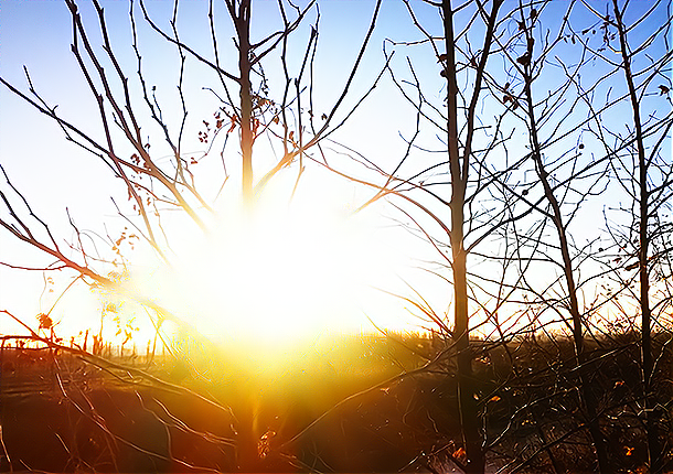 麦熟天 冰天寒地，冷风中，我呼唤，一个快乐温暖的舒缓人间！