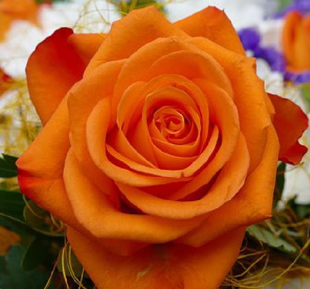 陈敏妍说情感|经典走心的感悟短语，深刻透彻，读完受益不少