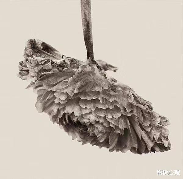 蜜桃心理|4个小细节，教你看透人的心理，很准