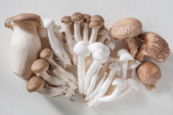 糖尿病|血糖高的人,要从饮食入手,这7种食物若你爱吃,或能稳定血糖