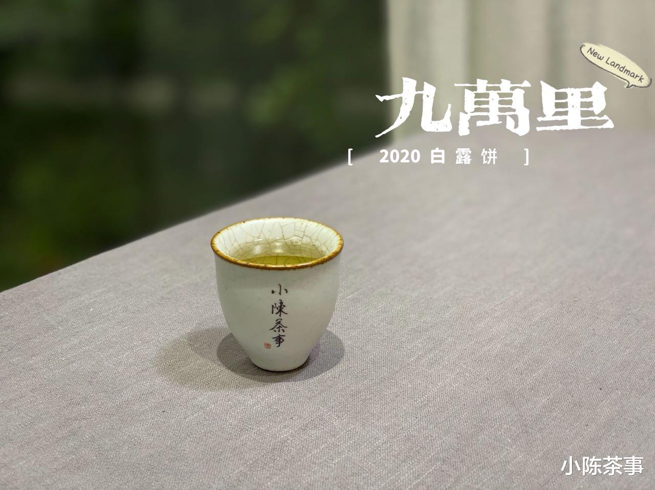 茶具|冲泡白茶的3大误区，茶具、泡茶水、泡茶方式，一次性说清楚