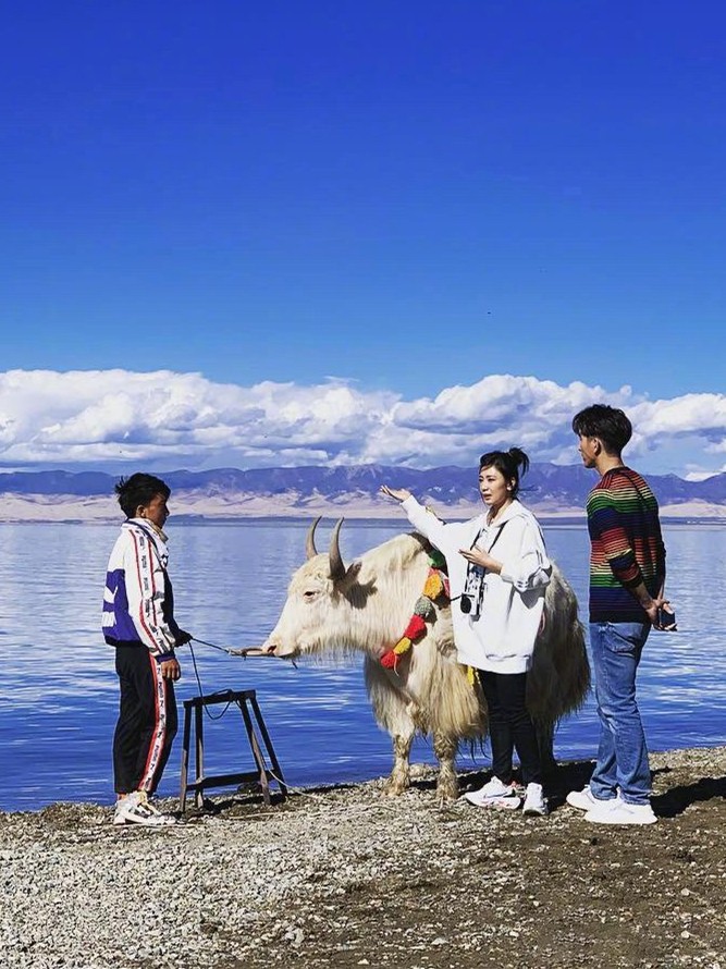 混搭时尚Anna|修杰楷夫妇罕见同框,47岁贾静雯卫衣丸子头,比小9岁老公还年轻