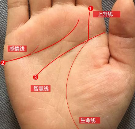 玄何师傅讲命理|长寿之人的手相，一生不会有大灾大病，福大命更大！