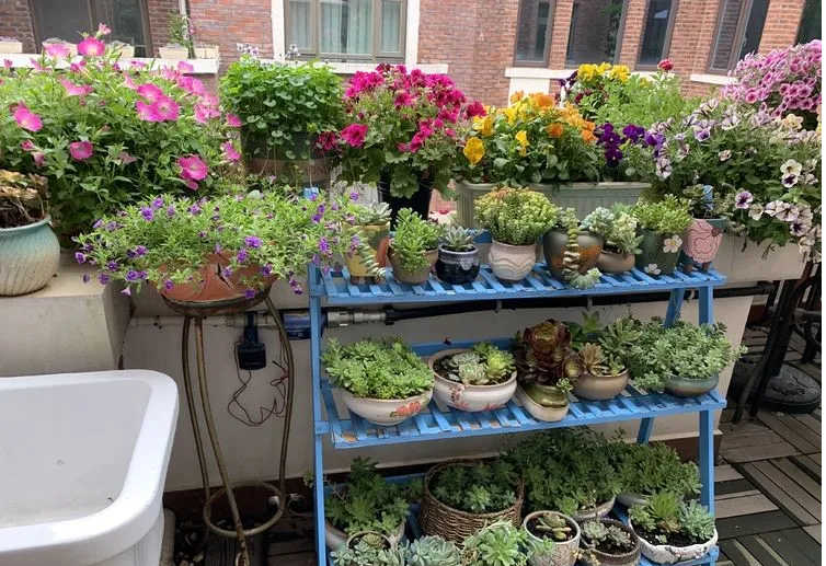 荒废了四年的10㎡北露台,改造成花园后,成了全家人最爱待的地方
