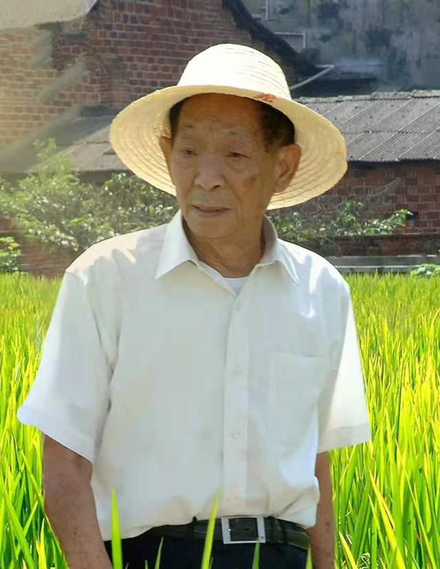 明星|明星悼念袁隆平太不用心！国士错写成国土，网红蹭热度赚流量钱