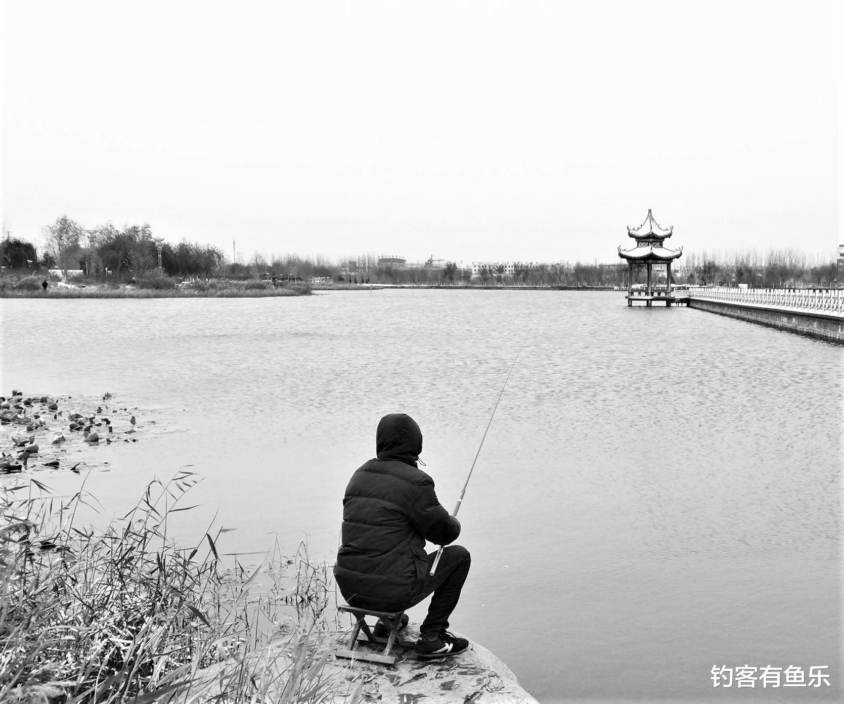 饵料|冬季钓鱼没有开口的鱼？这几种鱼冬天不停口，下竿容易上钩