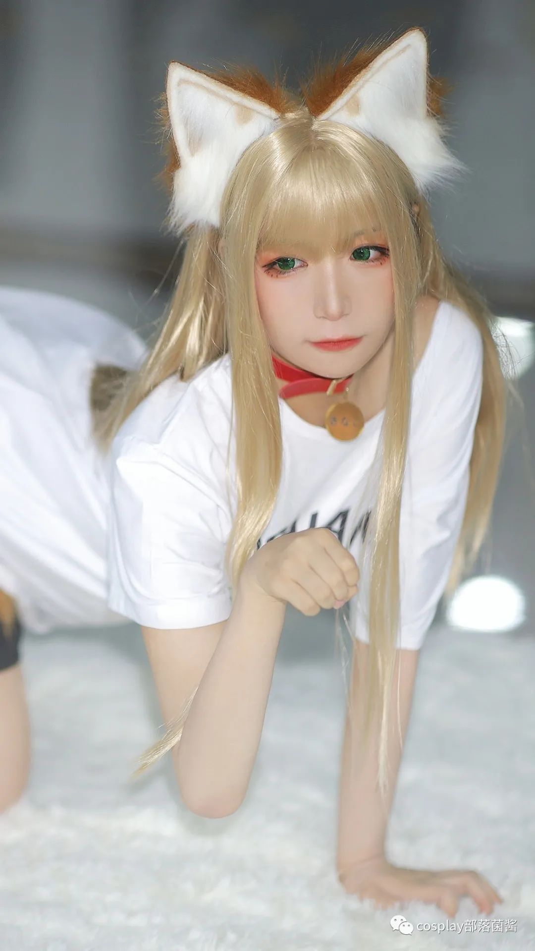 |cos：40原黄豆粉猫娘场照@赤瞳