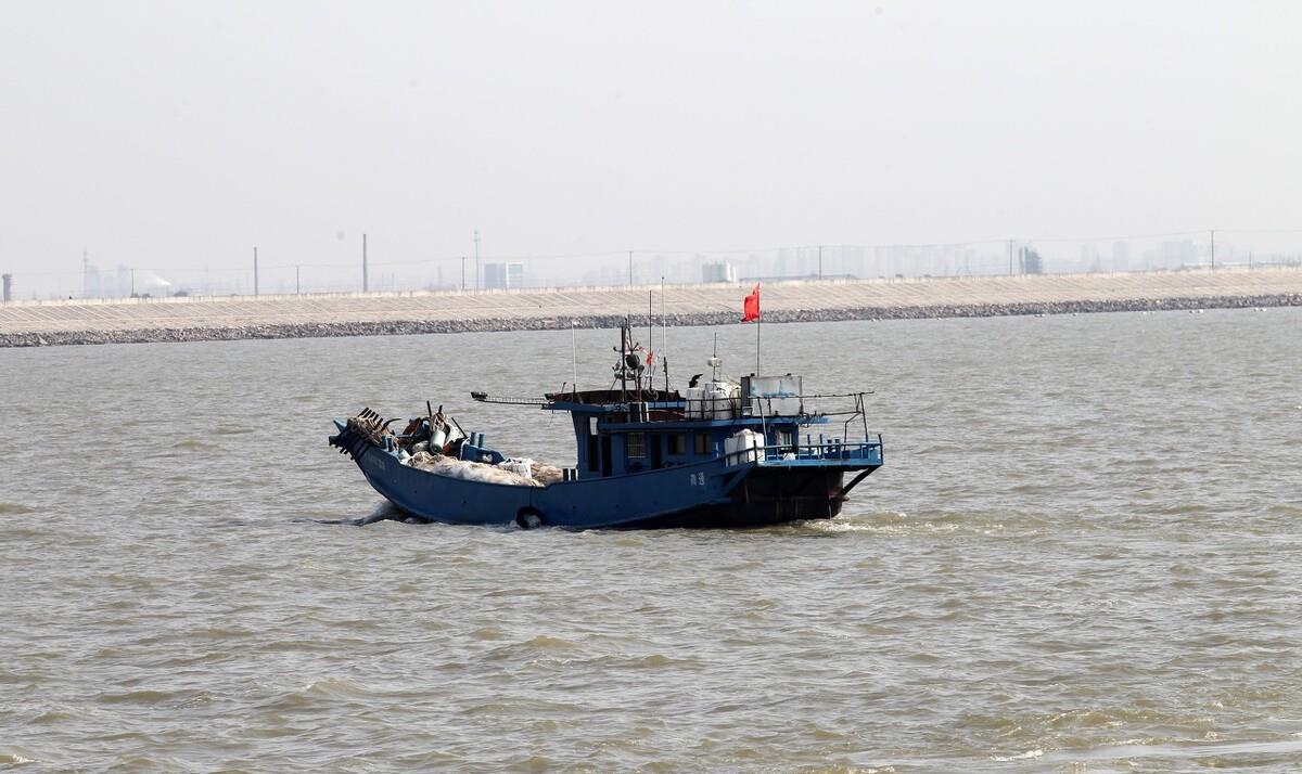 长江|钓了10条鱼，被拘役3个月，还罚款将近30000元，侥幸心理不能有