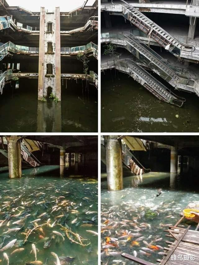 陨石 33张罕见的照片，国外硬币里的剑可以拔出，戒指用恐龙骨陨石制造