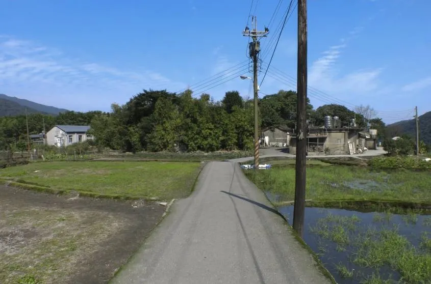 InsDaily|残奥会上被遗忘的“中国飞鱼”:没有双臂的他,游了世界第一!