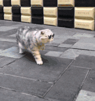 萌萌萌说|“小姨子有空就来帮我带孩子，我却高兴不起来！”我感觉目的不纯