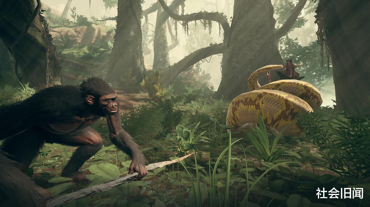 南方古猿 人类祖先并非没有天敌,远古时期曾出现一种猛兽,差点将它们吃灭绝