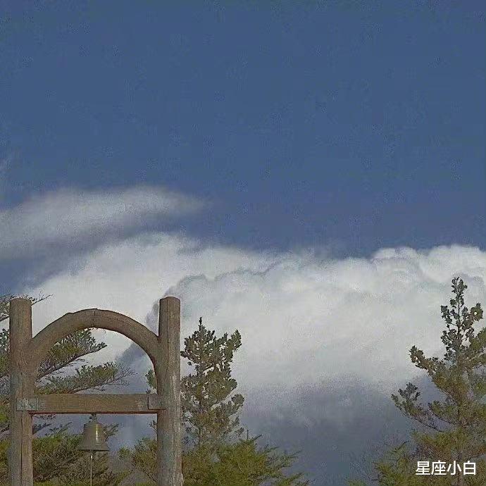 星座小白|感情上的事儿，一向是不凑合的星座