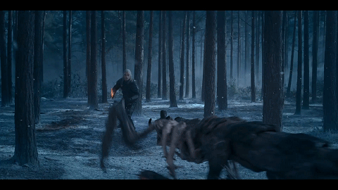 猎魔人|一集高燃！这部网飞顶流终于回归！