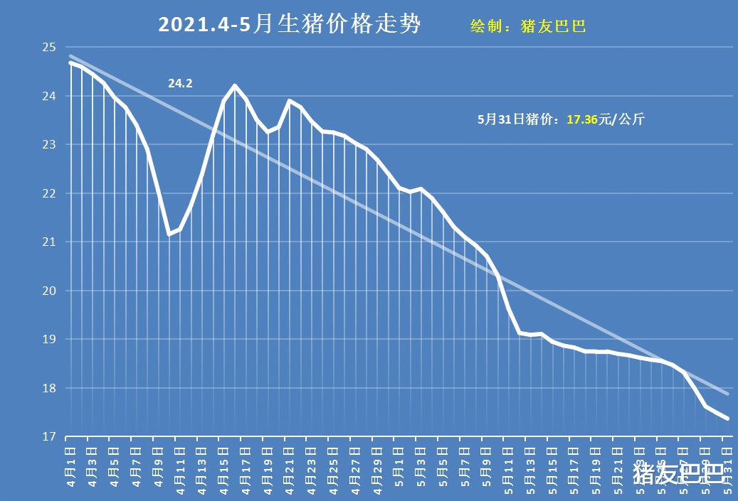 生猪价格 猪价大跌4.74元，养殖户梦断“红五月”，6月猪价能否一飞冲天？