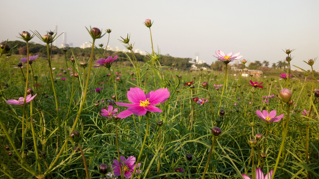 遇见小媛|你的生活,不在朋友圈里