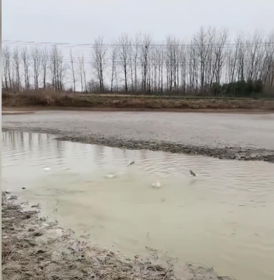 安徽|安徽一男子钓鱼颗粒无收,不远处一幕鱼跳跃,网友:赤裸裸地嘲讽