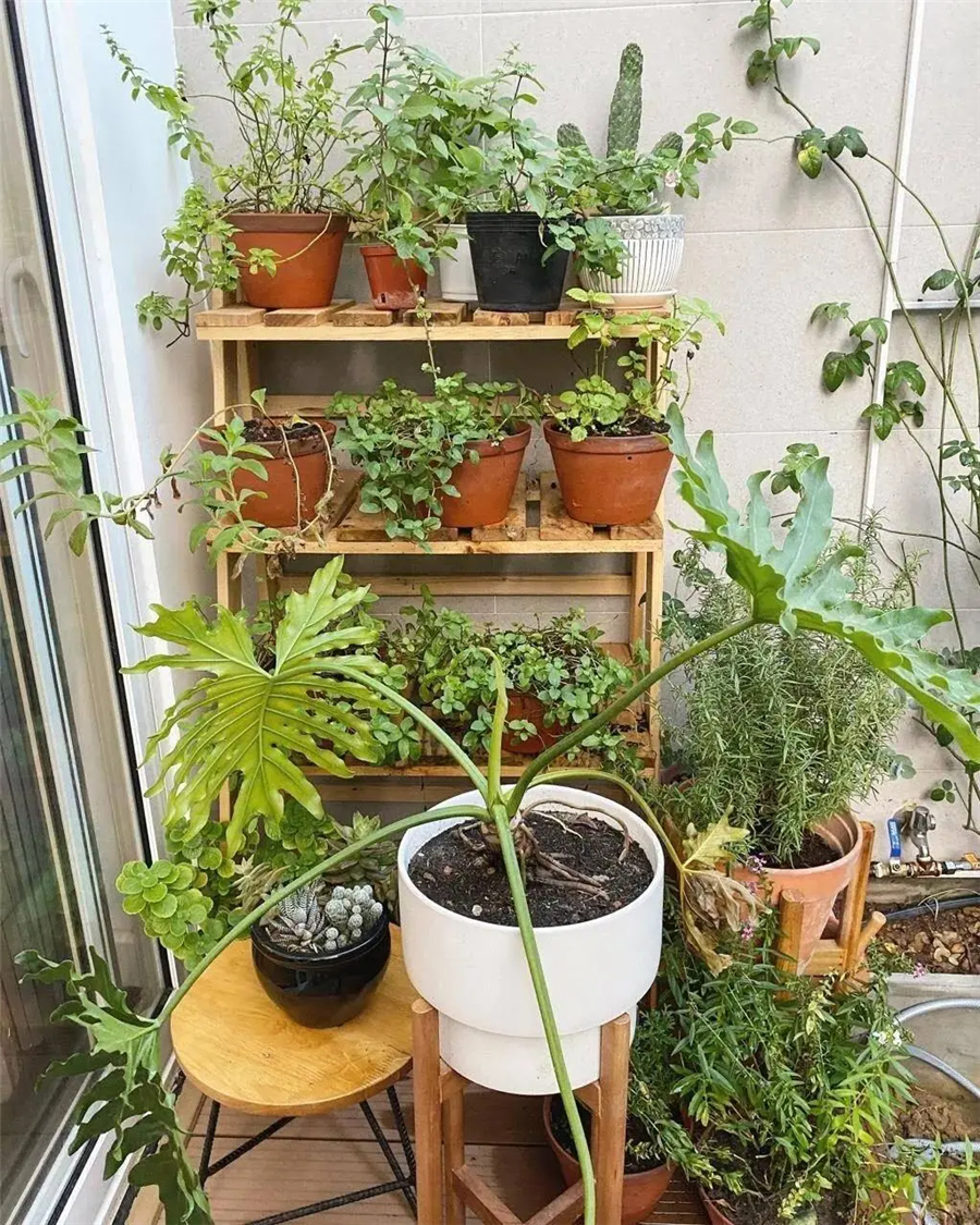 小姐姐|日本90后女孩的100㎡复式小家，干净到一尘不染！网友：太向往了