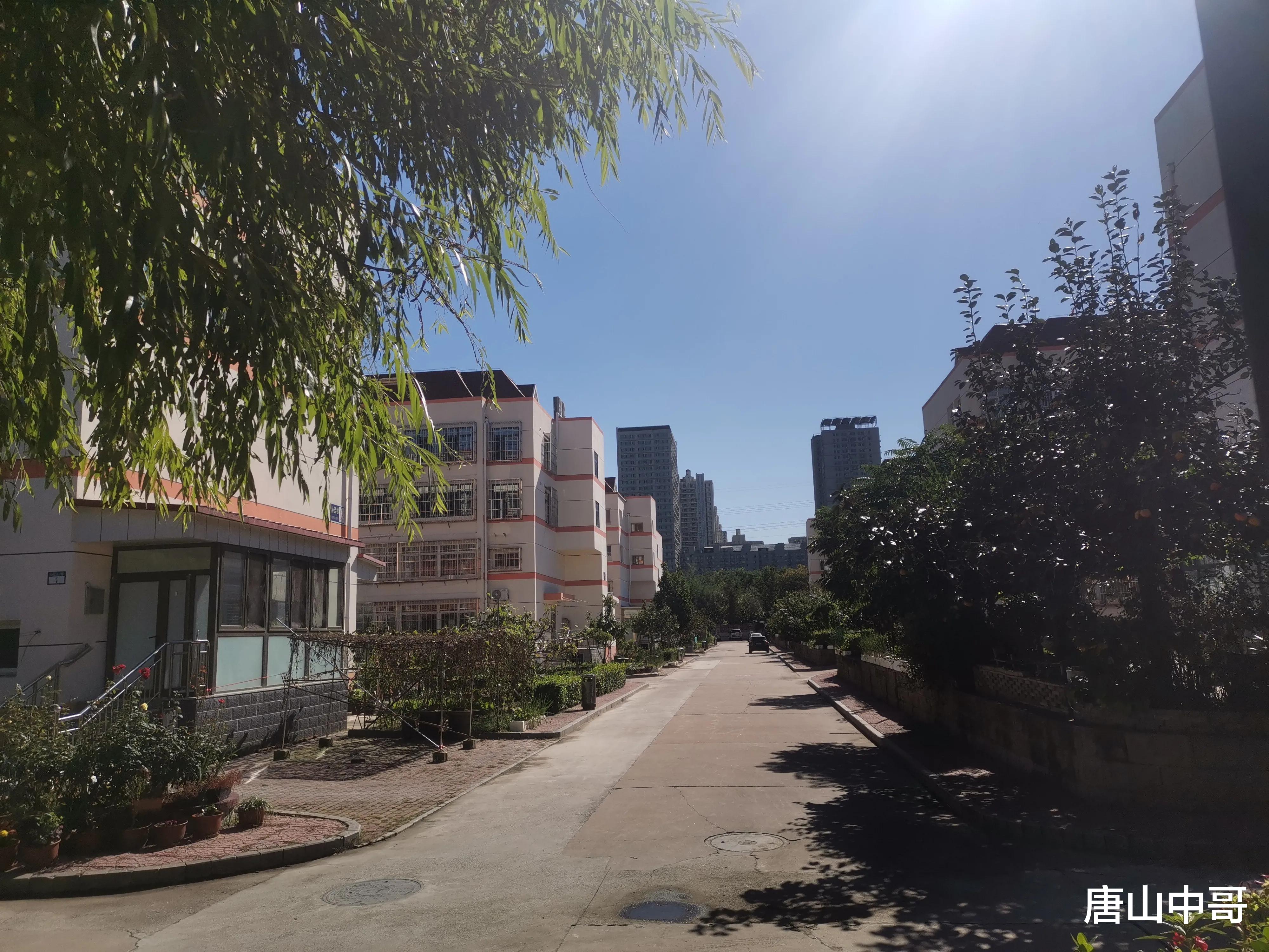 股价|在唐山冬天不用暖气现实吗？一起来具体看看！如何看待蹭暖一族？