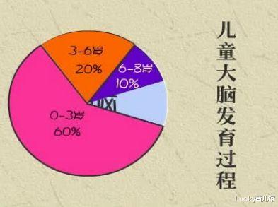 Lucky育儿馆|绘本童伴:早教应该从多大开始?1岁、2岁还是3岁,专家给你答案