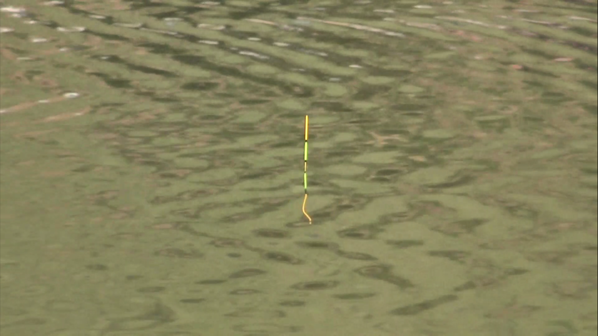 黄雀|10多年经验老钓友说漏嘴,春钓鲫鱼这样调漂,渔获猛增