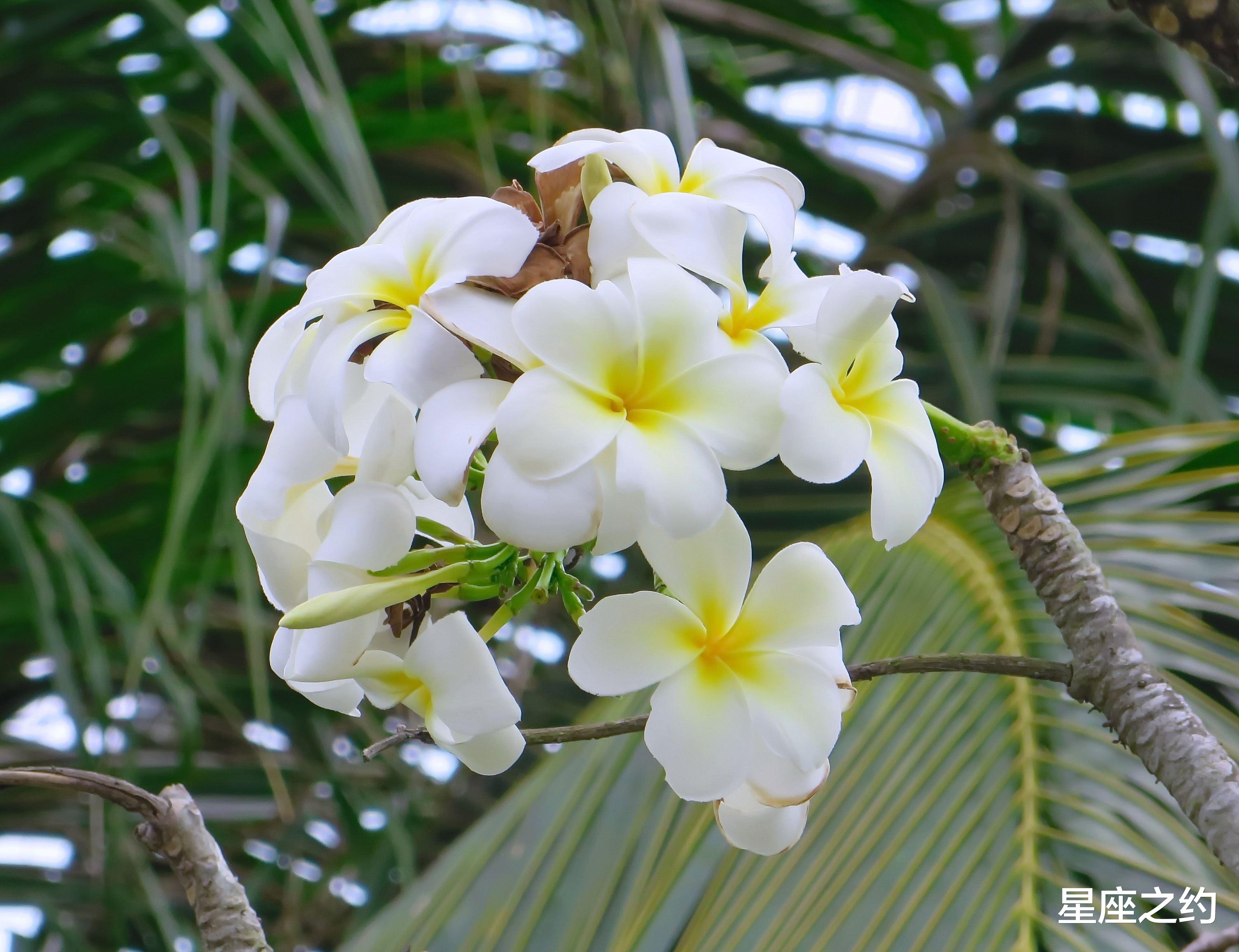 星座运势|2月18日-22日星座运势：双子座大局为重，摩羯座沟通顺畅