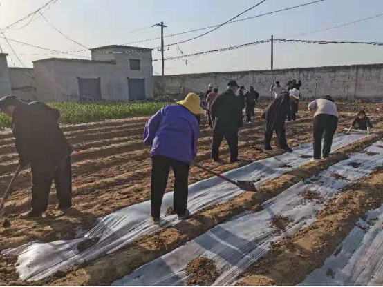 郓城县广播电视台 郓城:敬老院的小菜园,老人的大乐园