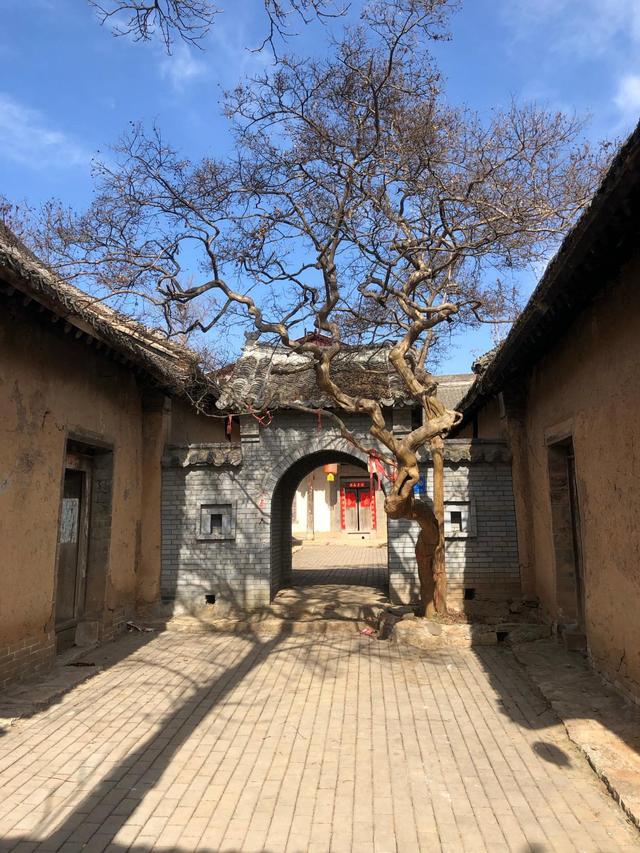 闲悠记 神秘古村落,办过五年大学,石桥、古树、老井和古宅处处可见