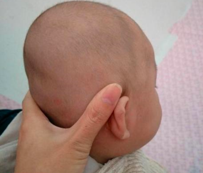 萱爸育儿经|?“孩子聪明与否,通过头型就能看出来。”“妈,您那是伪科学!”