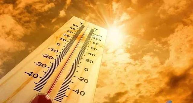 骆驼 2021年地球太热了？科威特温度超70℃，阿尔及利亚一只骆驼热晕