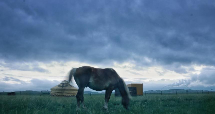 华业资本 从地摊小贩到集团总裁，身价高达25亿，最终却选择“自焚身亡”？