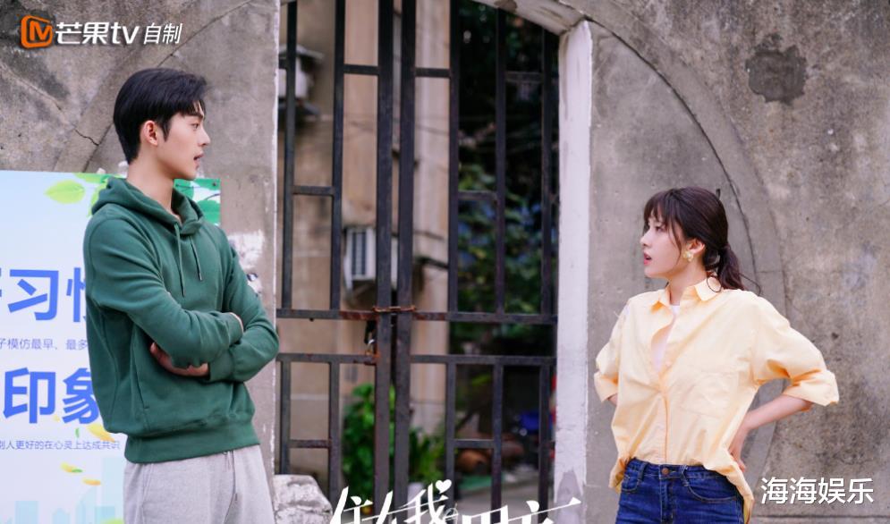 住在我隔壁的甲方|又一小甜剧开播成黑马，轻松搞笑看点十足，连追8集停不下