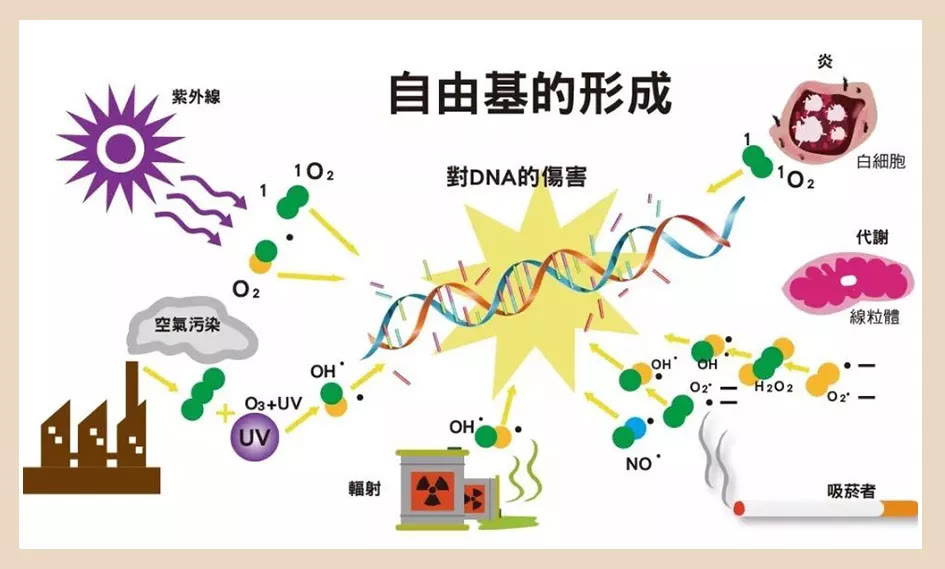 护肤 为什么护肤不见效，这几个步骤你都做对了吗？