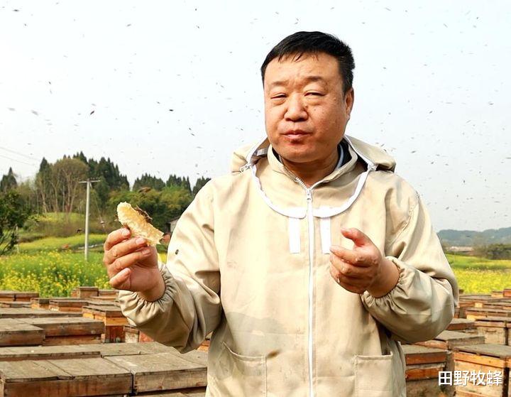 田野牧蜂|蜂巢不适合什么人吃? 蜂巢哪些人群不能吃?