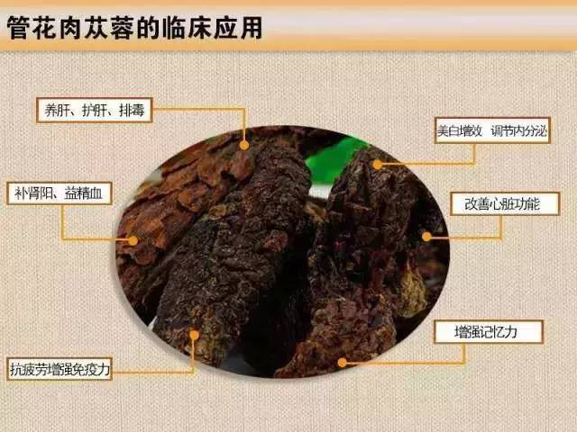 西域苁蓉 是药三分毒！肉苁蓉有毒有害吗？