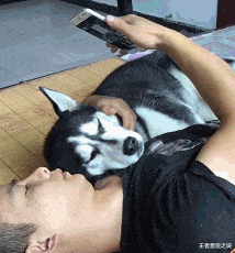 王者星座之说|“疫情期间，路边的乞丐都去哪了？”哇哈哈哈...神点评太精辟了！