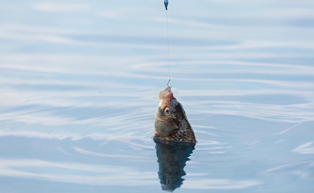 |钓鱼浮漂的基本技能，调漂、找底一个都不简单——盛世三渔