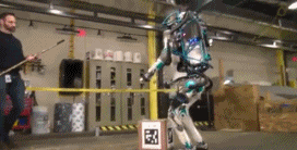 “一男子为了庆祝基友退役归来,竟女装欢迎?”