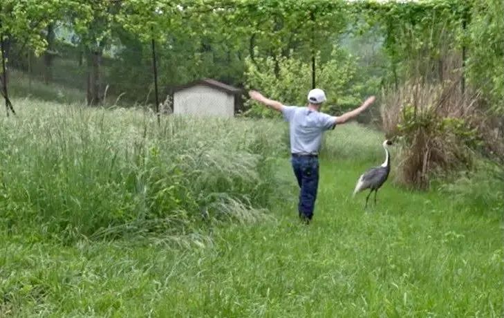 章鱼 一段奇特的“人兽恋”攫取了很多人的眼球