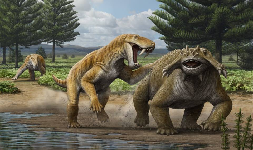 二叠纪生物，存在于恐龙之前的生命
