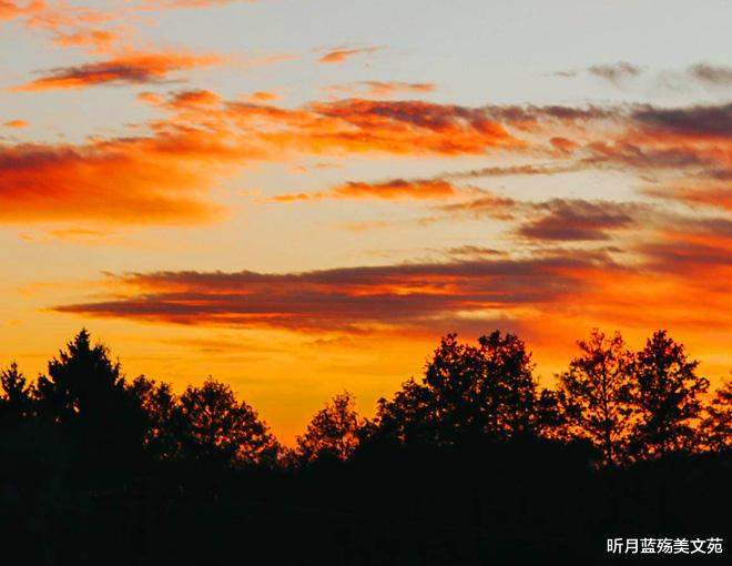 昕月蓝殇美文苑|深爱着你,见与不见,都忘不掉