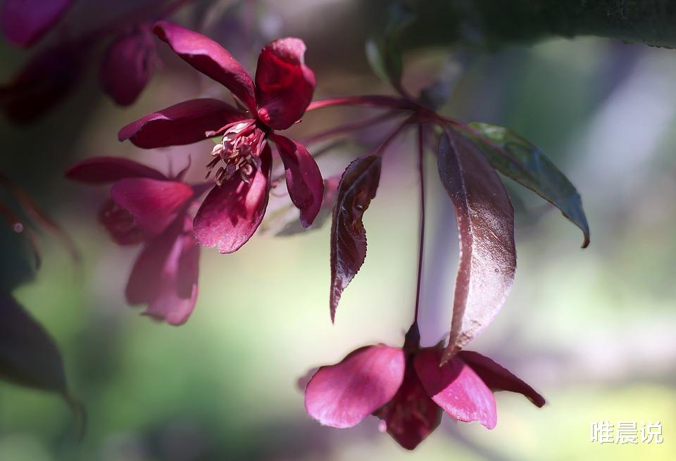 唯晨说|人老了，别再为不值得的事生气，只图余生安稳