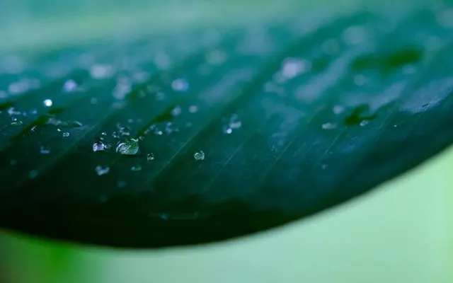 艾灸|身体生病前会出现的7个信号，有一个，都是坏事！