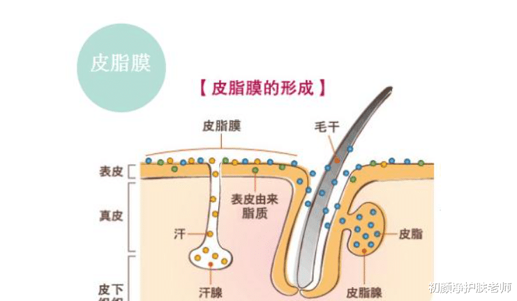 皮肤瘙痒 皮肤瘙痒、泛红、干燥怎么办？发现问题、“对症下药”才有效！