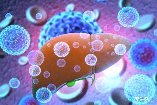 肝脏|养肝“王”不是苦瓜，而是它，肝科主任：你若爱吃，肝病通通绕路走