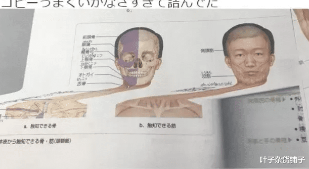 考古学家 你知道为什么考古学家大多数都是女性吗？